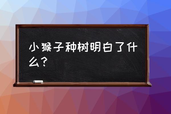 猴子种果树明白什么道理 小猴子种树明白了什么？