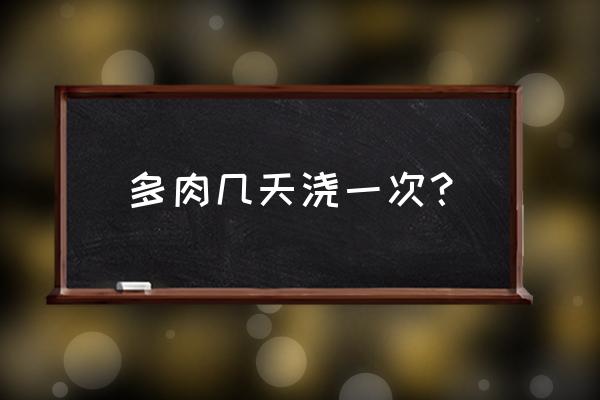 多肉植物夏天几天浇水 多肉几天浇一次？