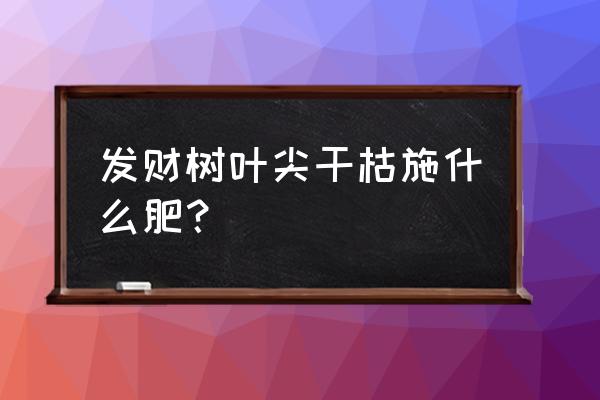 发财树用多少复合肥 发财树叶尖干枯施什么肥？