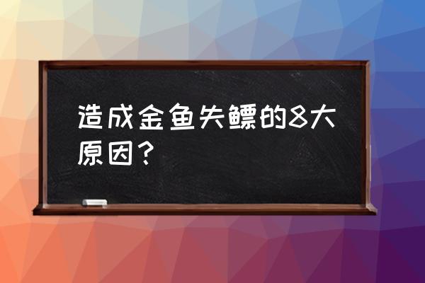 金鱼喂饲料为什么会失鳔 造成金鱼失鳔的8大原因？