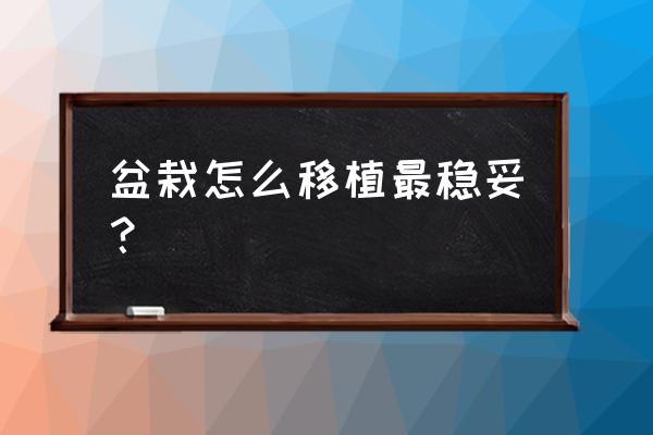 盆景怎么移栽 盆栽怎么移植最稳妥？