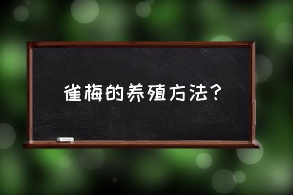 雀梅小盆景开春能施肥吗 雀梅的养殖方法？