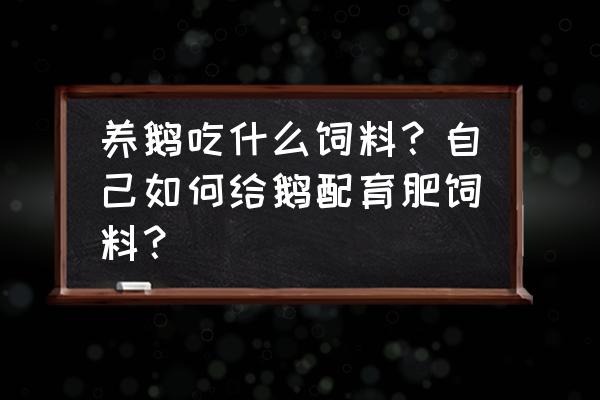 规模化养鹅喂什么饲料 养鹅吃什么饲料？自己如何给鹅配育肥饲料？