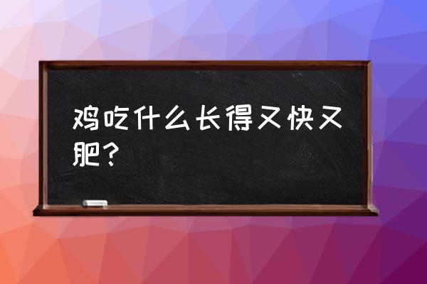 肉鸡饲料添加什么动物油好 鸡吃什么长得又快又肥？