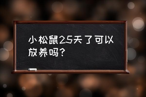 小松鼠可以散养吗不用窝 小松鼠25天了可以放养吗？