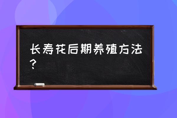 长寿花适合用复合肥吗 长寿花后期养殖方法？