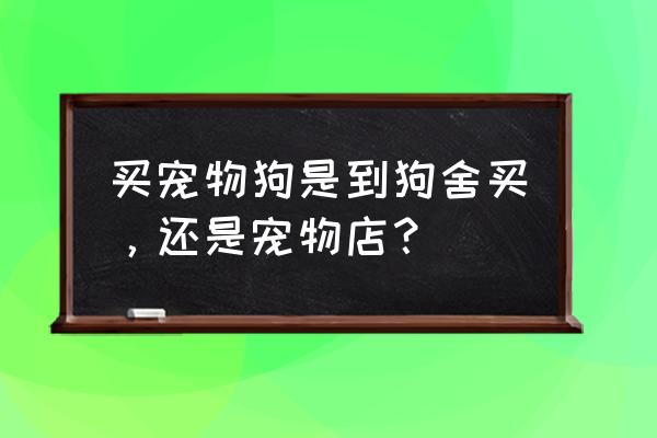 为什么买狗不去宠物店 买宠物狗是到狗舍买，还是宠物店？