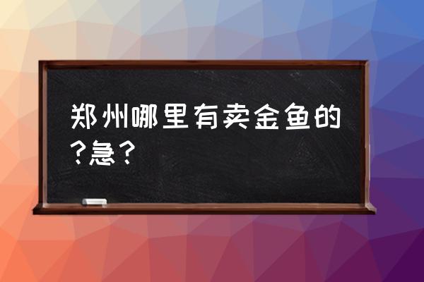 郑州南三环附近哪有买观赏鱼的 郑州哪里有卖金鱼的?急？