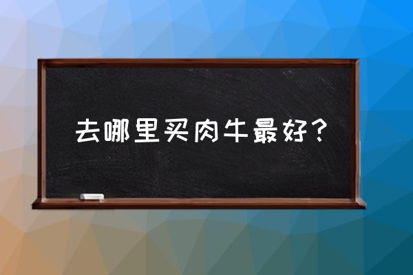 如果养牛去哪买 去哪里买肉牛最好？