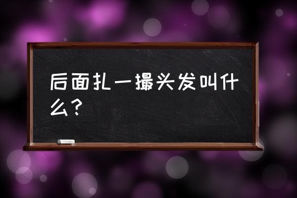 打码的辫子叫什么名字 后面扎一撮头发叫什么？