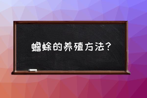 蟾蜍养殖技术有哪些 蟾蜍的养殖方法？