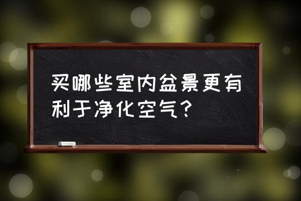 什么盆景净化空气好 买哪些室内盆景更有利于净化空气？