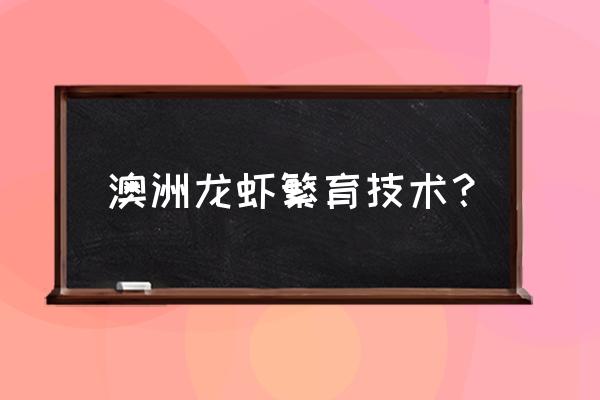 如何学习澳洲龙虾养殖技术 澳洲龙虾繁育技术？