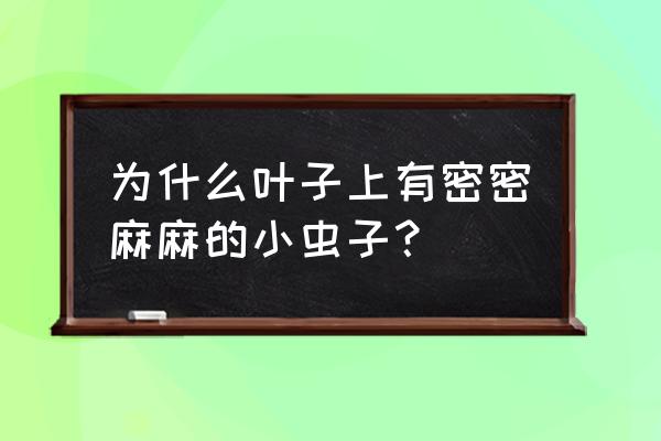 请问园林绿化有哪些虫害 为什么叶子上有密密麻麻的小虫子？