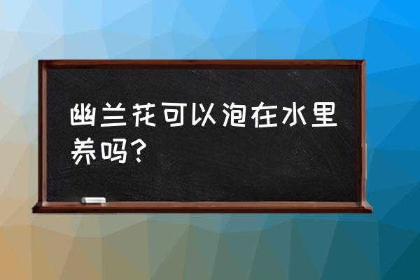 兰花可以直接水养吗 幽兰花可以泡在水里养吗？