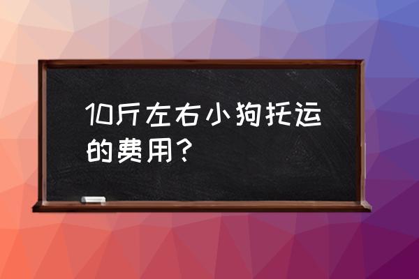 普通托运狗要多少钱 10斤左右小狗托运的费用？