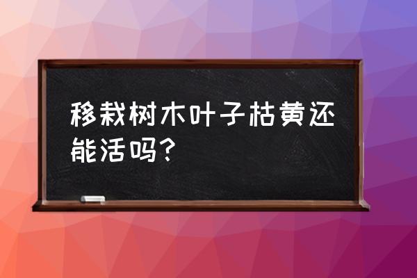 秋季果树移植后叶子枯萎还能活吗 移栽树木叶子枯黄还能活吗？