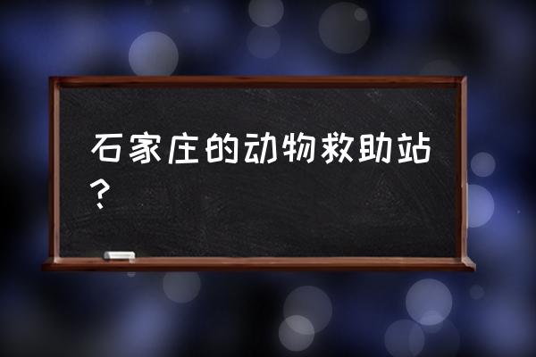 石家庄哪里有狗领养 石家庄的动物救助站？