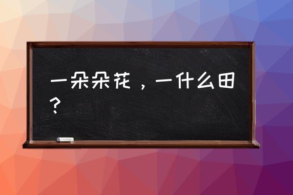 一朵玫瑰花什么成语 一朵朵花，一什么田？