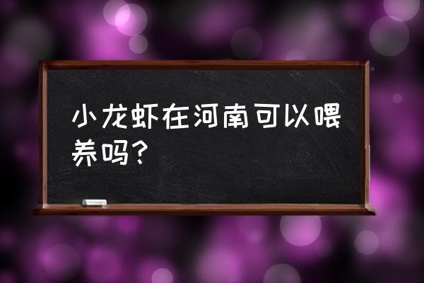 兰考无公害绿色龙虾养殖基地在哪 小龙虾在河南可以喂养吗？