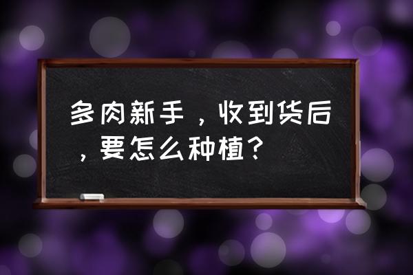 新买多肉植物如何栽种 多肉新手，收到货后，要怎么种植？