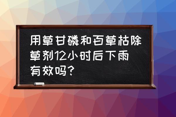 草甘膦打完多长时间下雨不失效 用草甘磷和百草枯除草剂12小时后下雨有效吗？