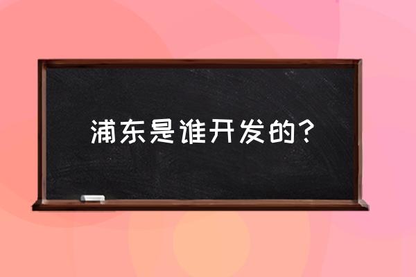 上海浦东是怎么打造起来的 浦东是谁开发的？