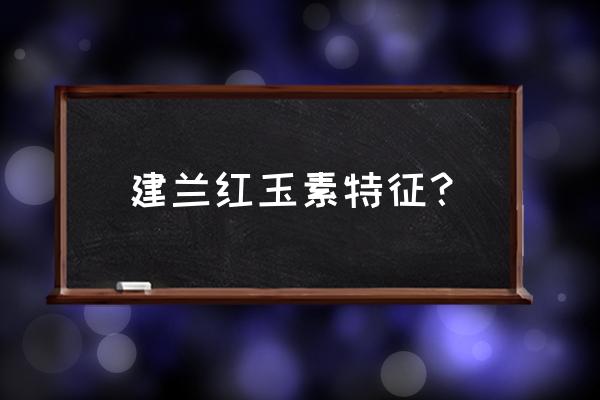 兰花红春素多少钱一棵 建兰红玉素特征？