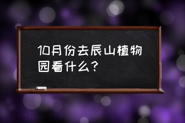 现在辰山植物园有啥看 10月份去辰山植物园看什么？