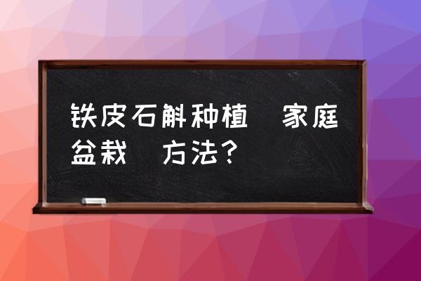 铁皮石斛盆栽要晒太阳吗 铁皮石斛种植（家庭盆栽）方法？