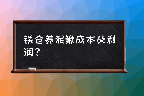 养殖泥鳅的网箱一个多大多少钱 铁仓养泥鳅成本及利润？