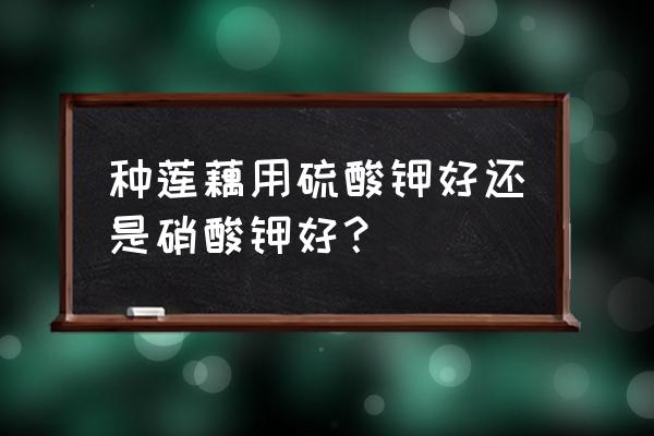 莲藕施哪种钾肥好 种莲藕用硫酸钾好还是硝酸钾好？