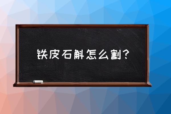 盆栽的铁皮石斛怎么摘 铁皮石斛怎么割？