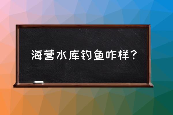 荆门哪里钓鱼 海营水库钓鱼咋样？