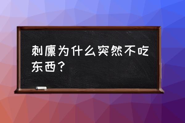 刺猬突然不吃饲料了怎么回事 刺猬为什么突然不吃东西？