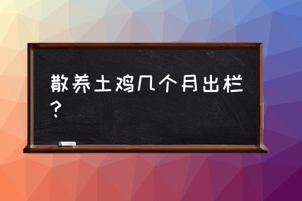 散养鸡一般几个月出栏 散养土鸡几个月出栏？