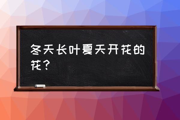 夏季开花的落叶灌木有哪些 冬天长叶夏天开花的花？