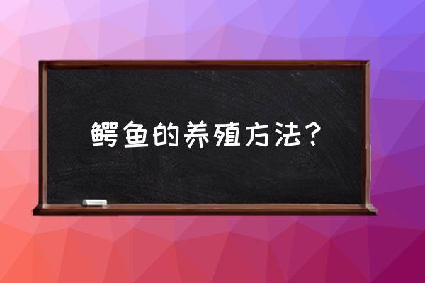 鳄鱼养殖需要什么技术 鳄鱼的养殖方法？