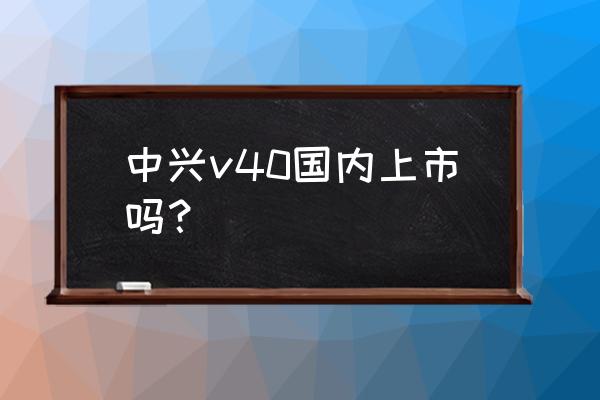 中兴v0840内存是多少 中兴v40国内上市吗？