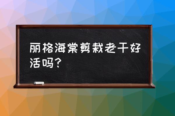 丽格海棠能养成老桩吗 丽格海棠剪栽老干好活吗？