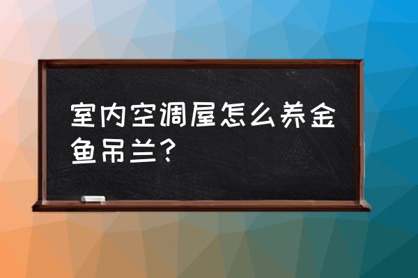 金鱼吊兰花期可以施磷酸二氢钾吗 室内空调屋怎么养金鱼吊兰？