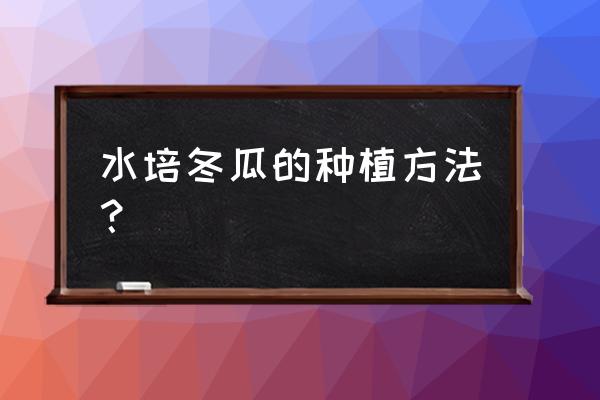 盆栽冬瓜如何种植技术 水培冬瓜的种植方法？