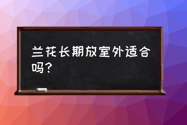 绍兴兰花能种在户外吗 兰花长期放室外适合吗？