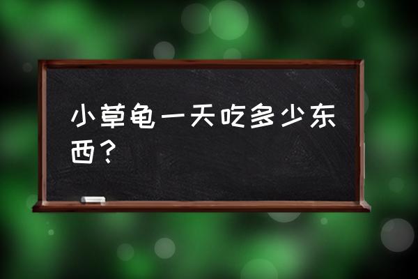 草龟一天可以吃多少饲料 小草龟一天吃多少东西？