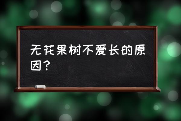 无花果树为什么不发旺 无花果树不爱长的原因？