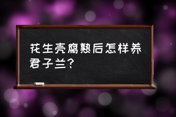 花生壳能做君子兰营养土吗 花生壳腐熟后怎样养君子兰？