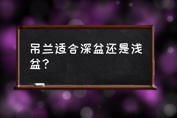 吊兰用什么样的花盆养最好 吊兰适合深盆还是浅盆？