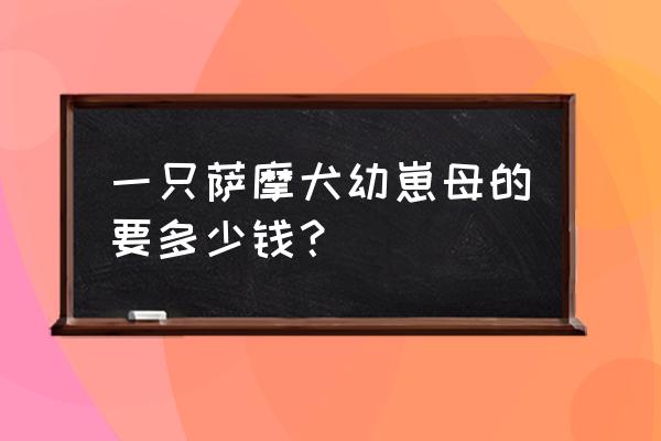 母萨摩耶肩高一般是多少钱 一只萨摩犬幼崽母的要多少钱？