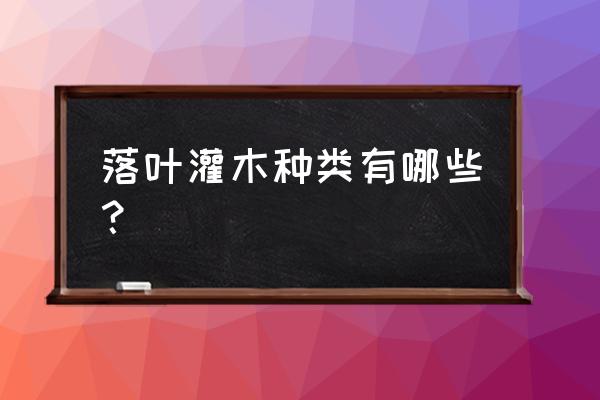 落叶灌木有哪些树种 落叶灌木种类有哪些？