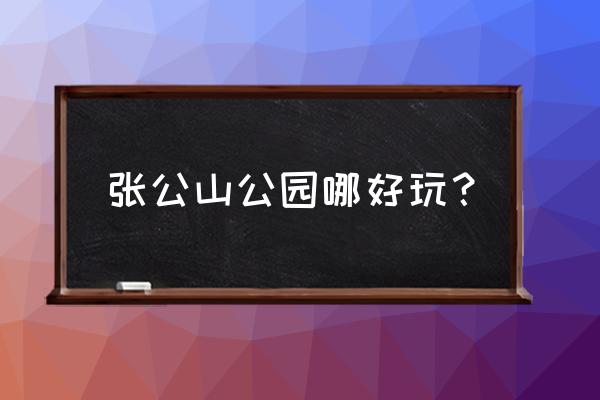 蚌埠张公山暗娼都在哪此地方 张公山公园哪好玩？